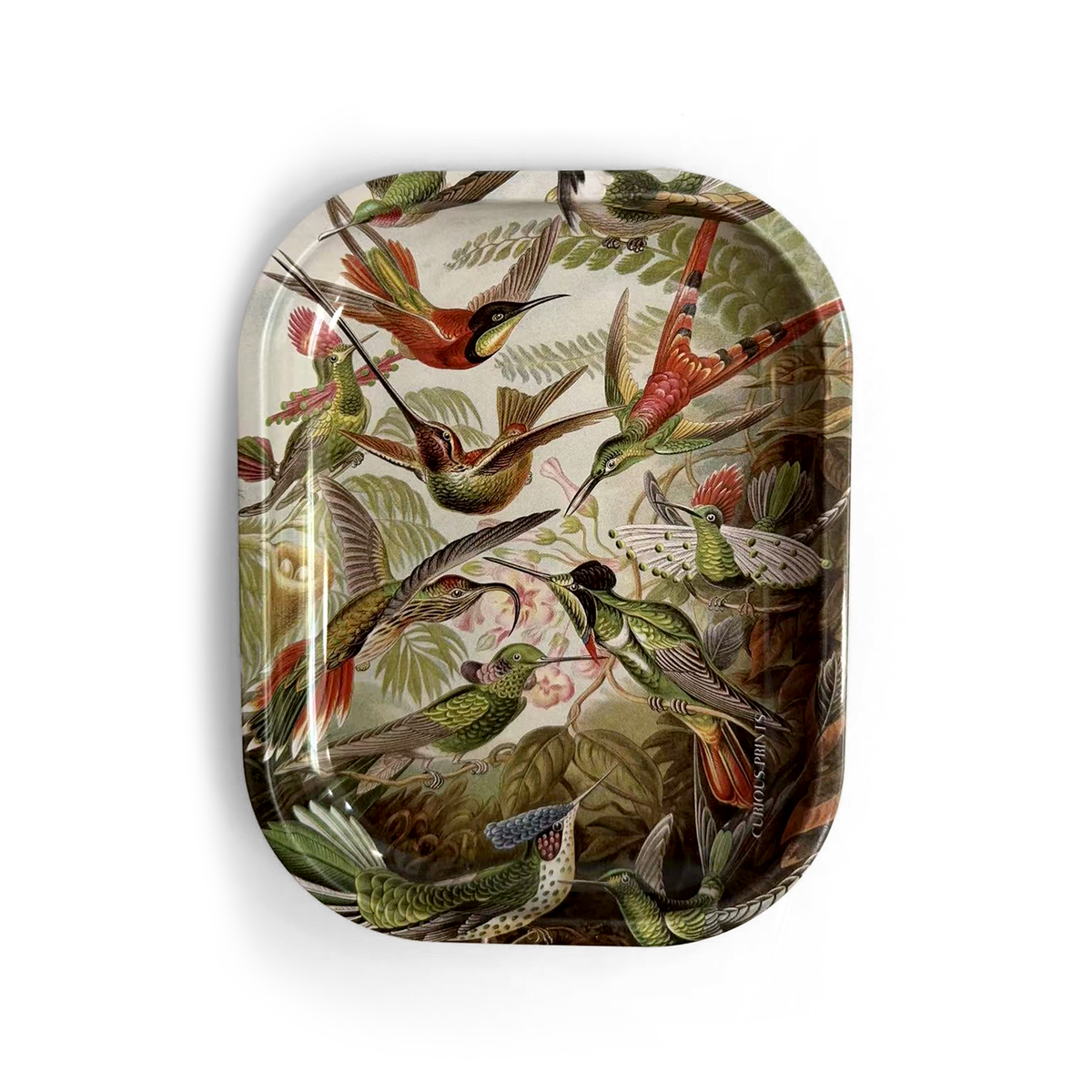 Small Metal Vintage Haeckel Hummingbirds Decorative Tray