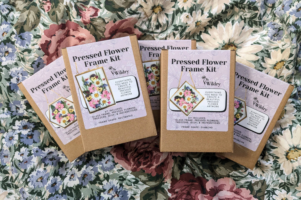 DIY Pressed Flower Frame Kits
