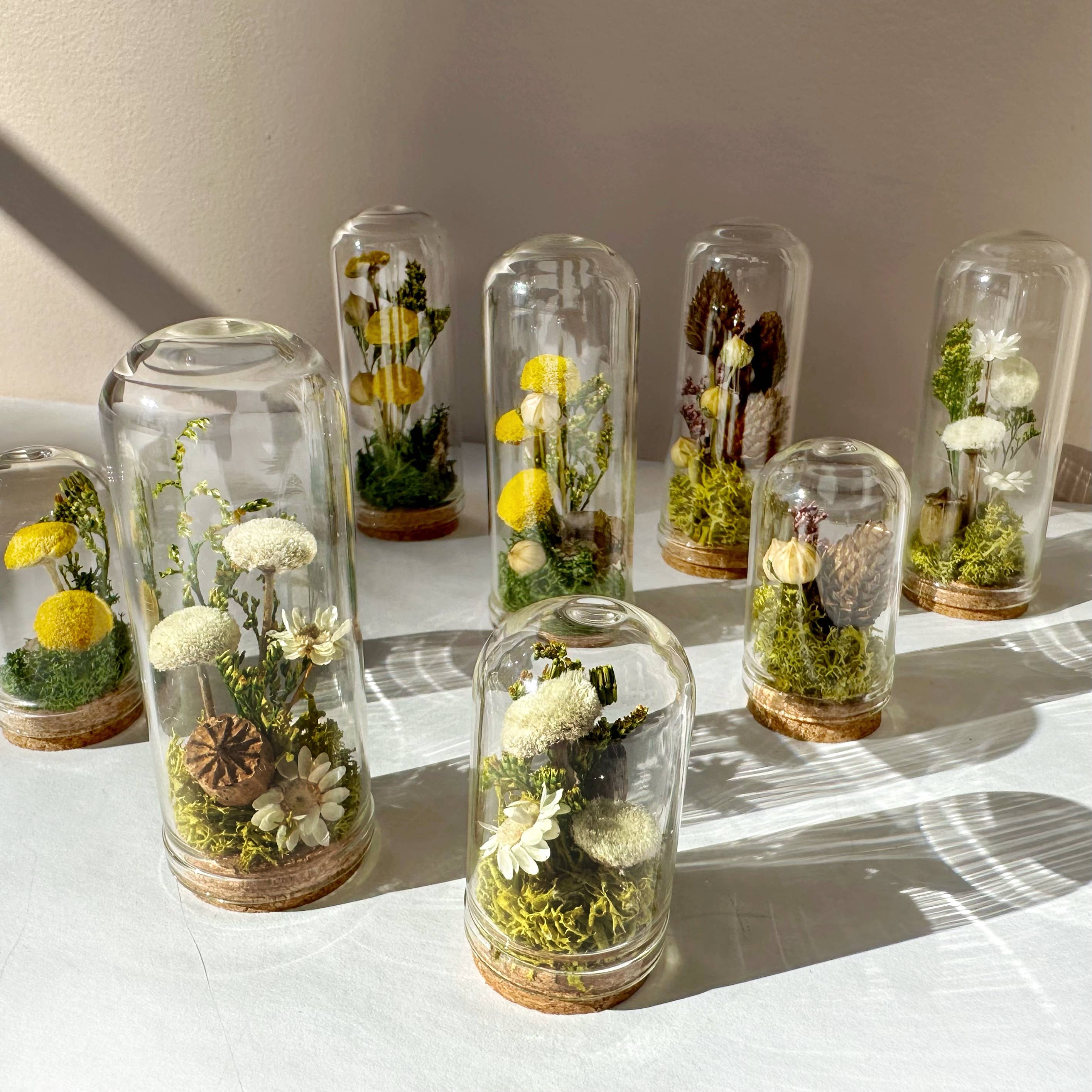 Meadow Mix Mini Glass Cloche Terrarium w. Dried Florals