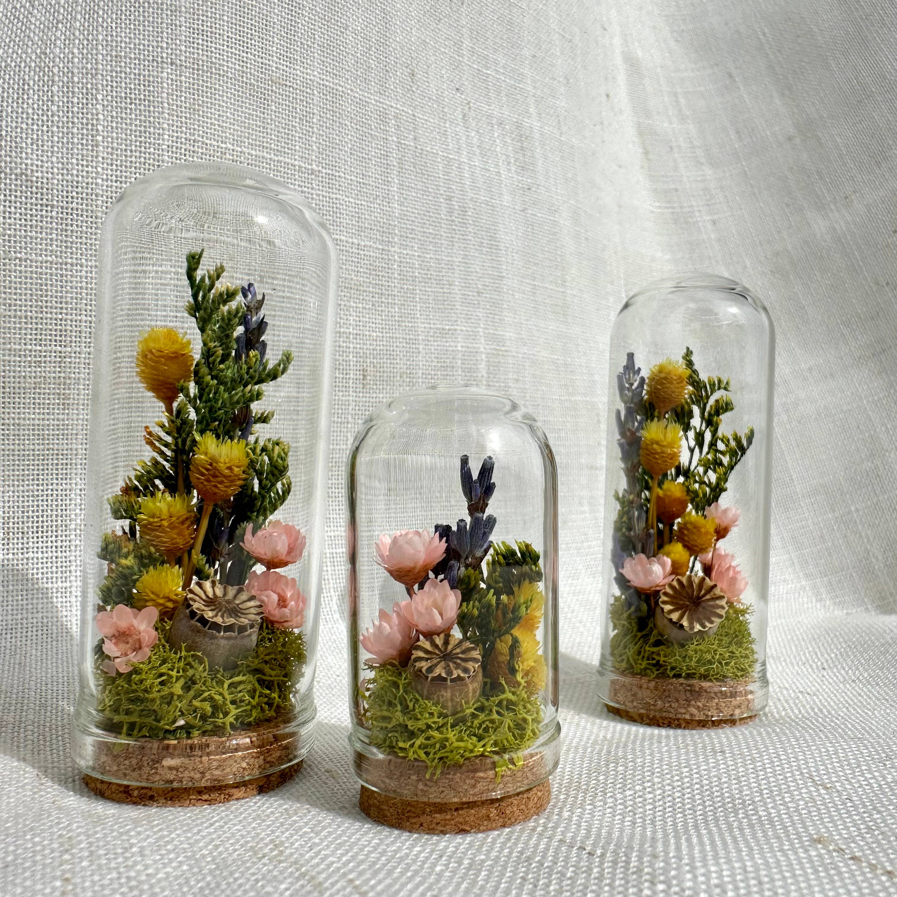 Cottage Garden Mini Terrarium w. Dried Florals Glass Cloche 