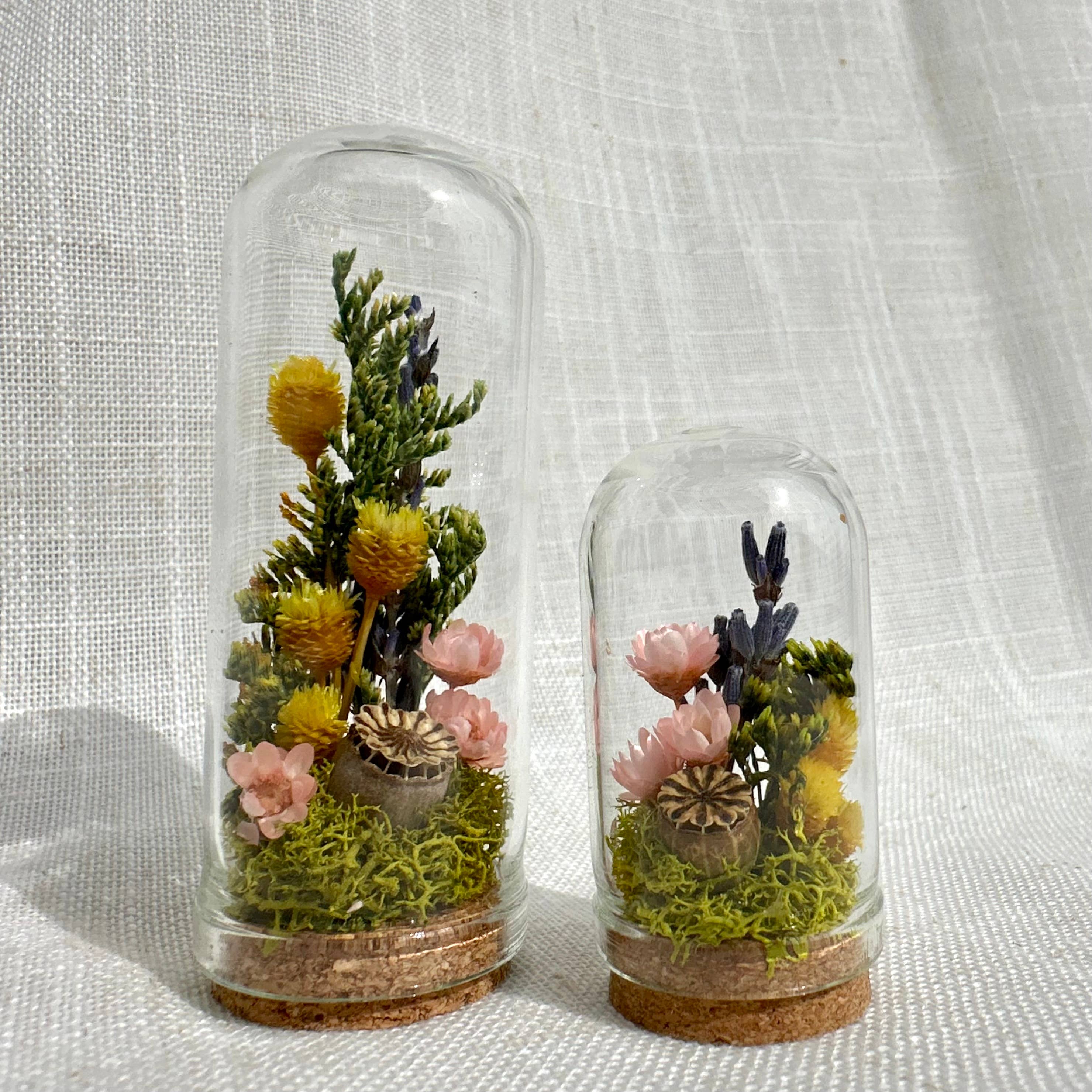 Cottage Garden Mini Terrarium w. Dried Florals Glass Cloche 