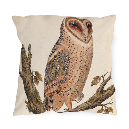 Barn Owl Vintage Illustration Outdoor Pillow — Rustic Wildlife Patio Decor