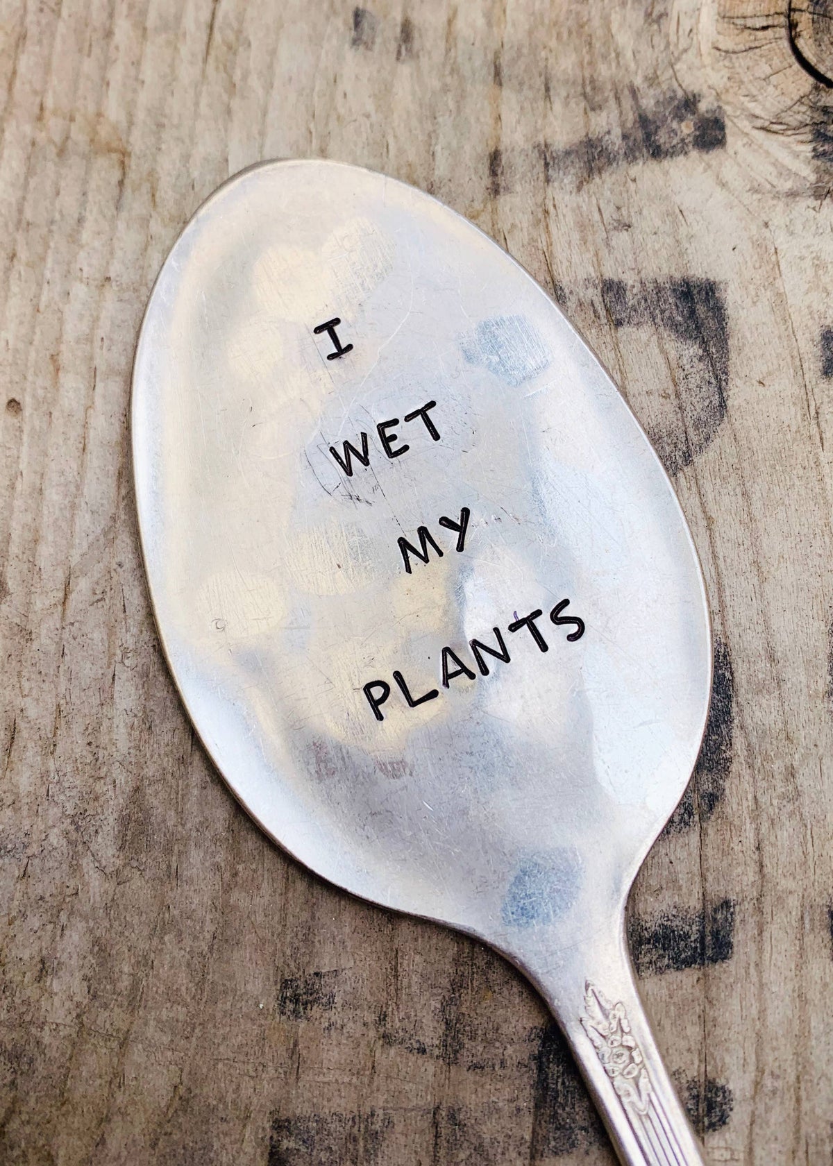 Sarcastic Garden Markers