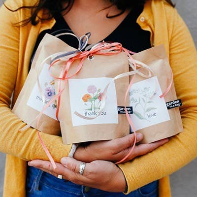 🌸 Thank You Zinnia Grow Kit (Dwarf Zinnias)