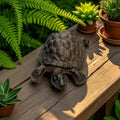 Turtle Garden Statue, Cast Iron, Rustic Outdoor Figurine, 5"