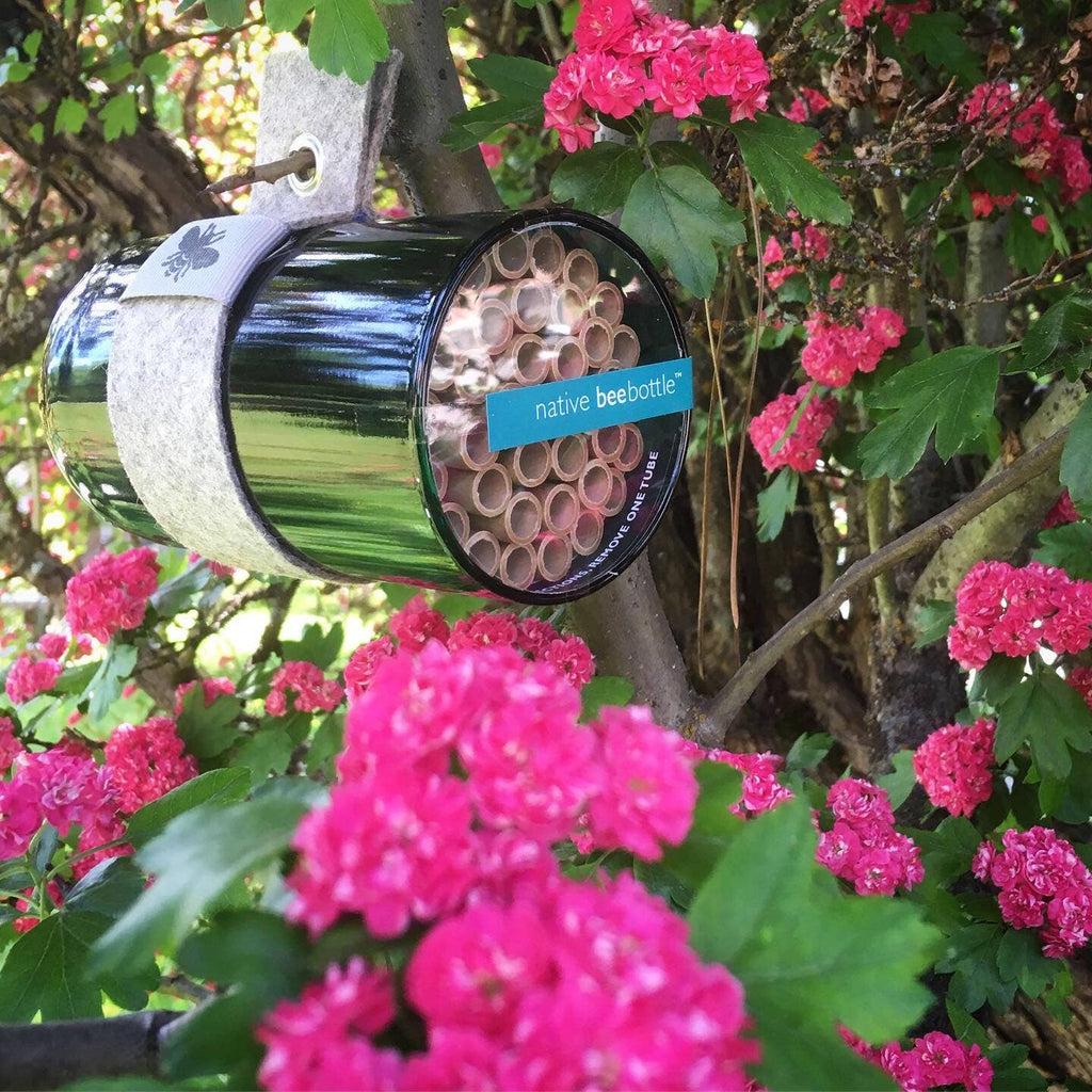 Native Bee House | Habitat Builder to attract pollinators
