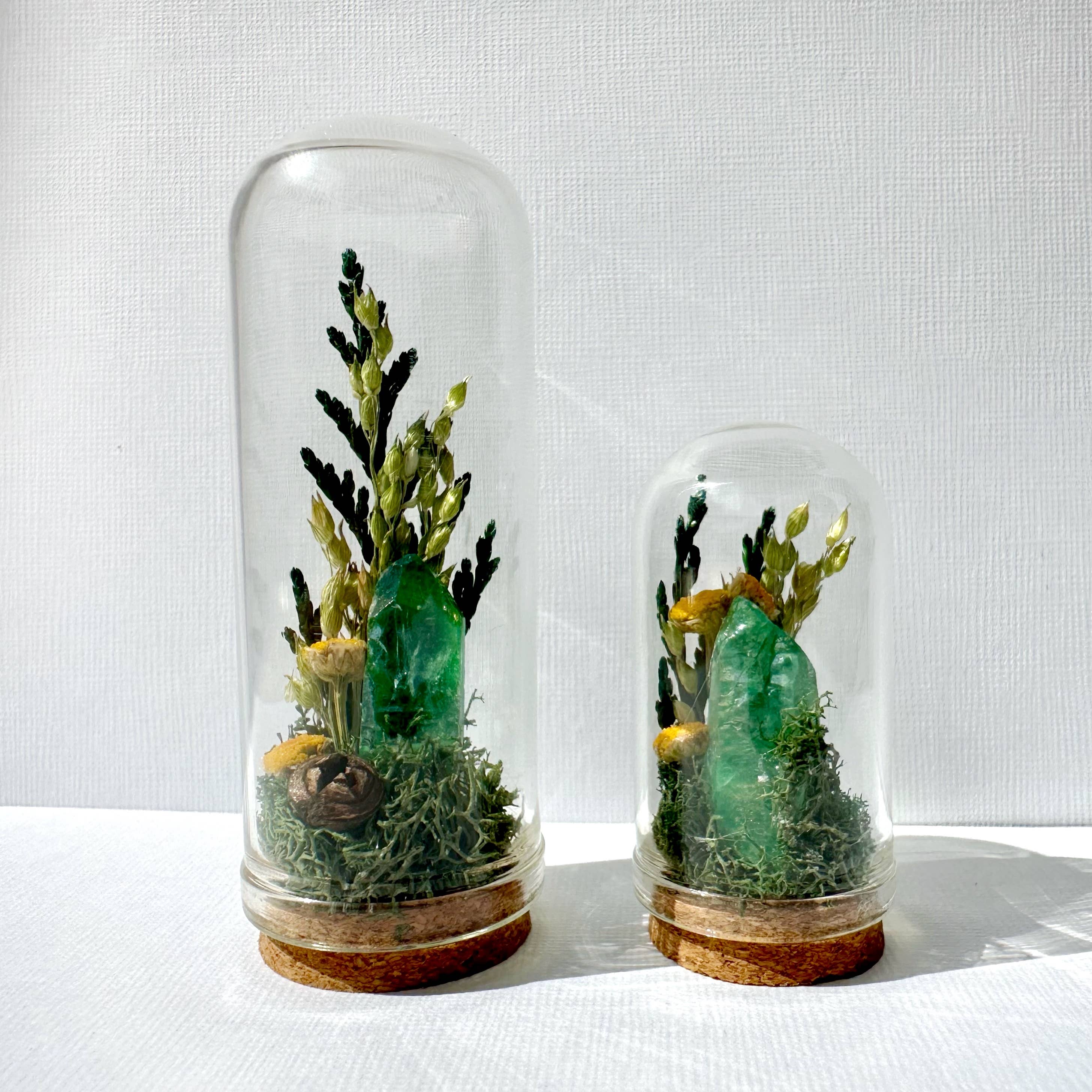 Sunlight Crystal Fair Terrarium Mini Floral Glass Cloche