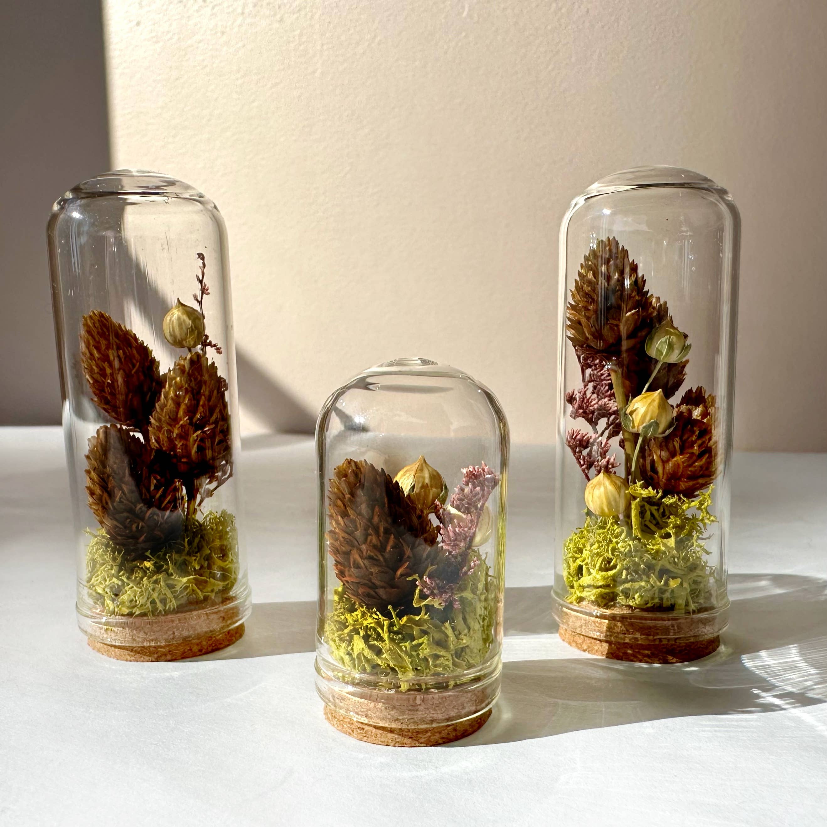 Meadow Mix Mini Glass Cloche Terrarium w. Dried Florals
