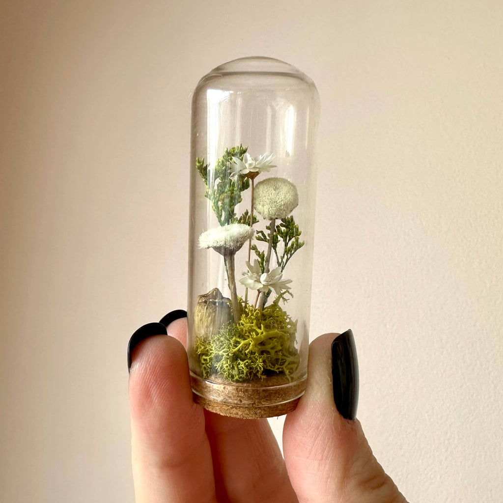 Meadow Mix Mini Glass Cloche Terrarium w. Dried Florals