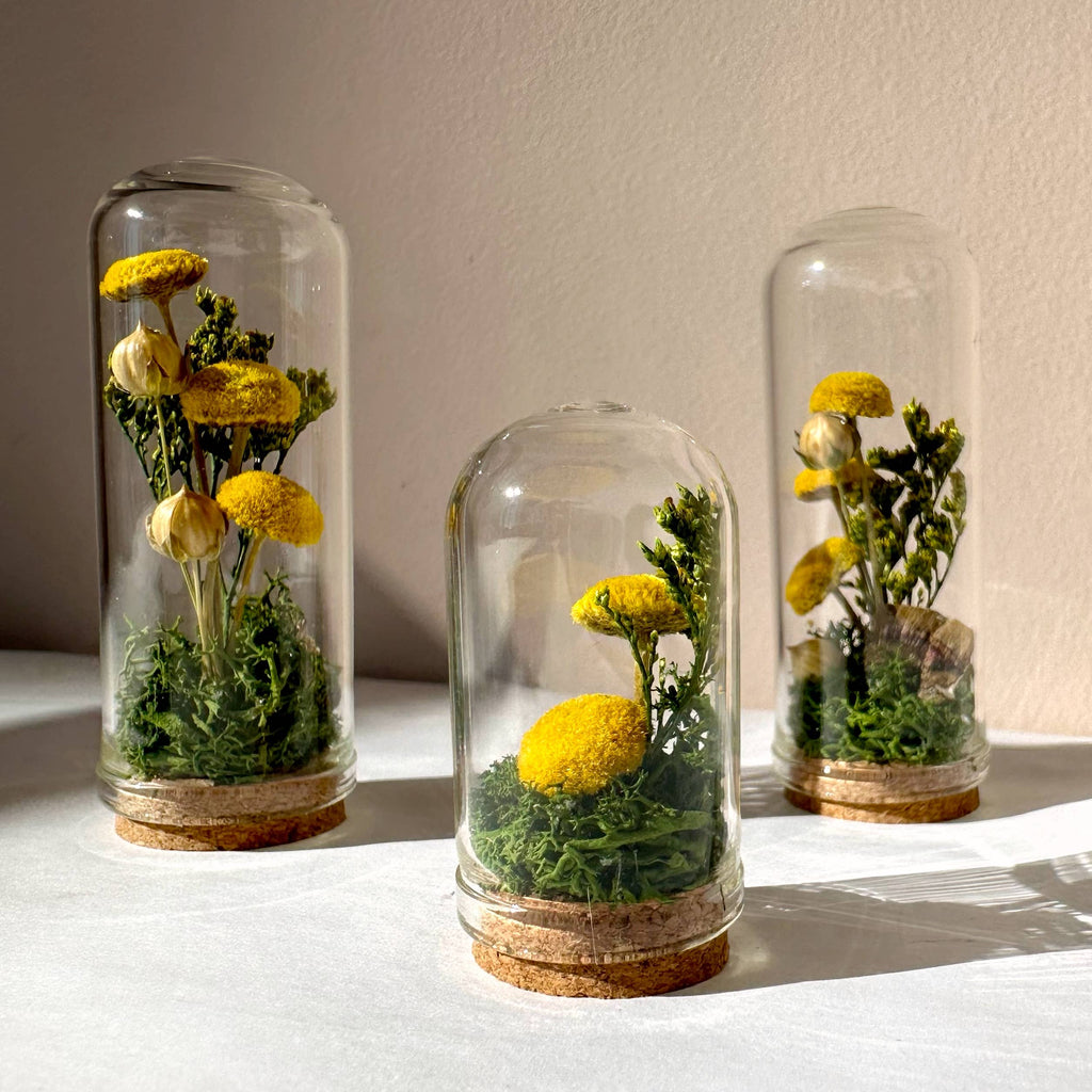 Meadow Mix Mini Glass Cloche Terrarium w. Dried Florals
