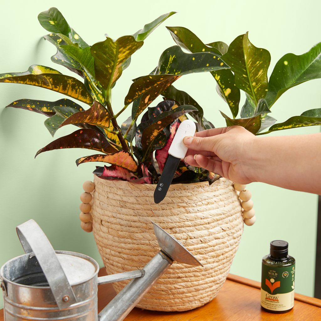 We the Wild Plant Water Moisture Meter