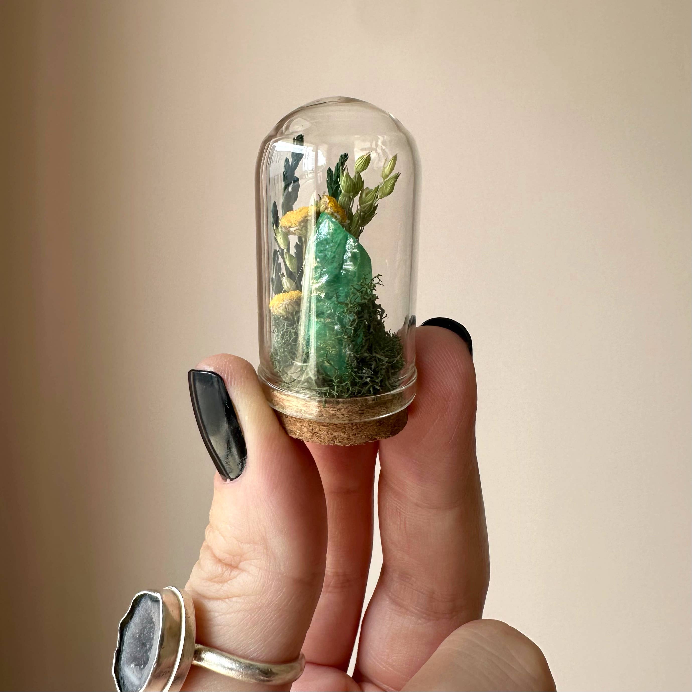 Sunlight Crystal Fair Terrarium Mini Floral Glass Cloche