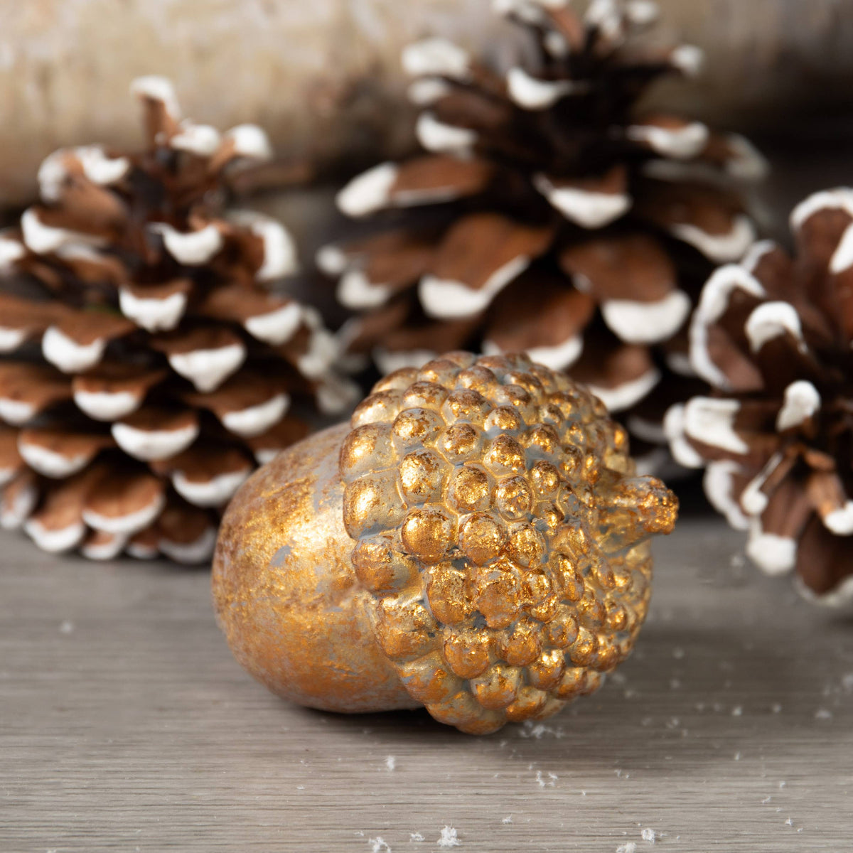 Gold Cement Acorn Fall / Holiday Decor
