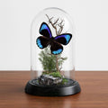 REAL - Moth Diorama -6X4 Inch Dome Diorama - Eunica eurota