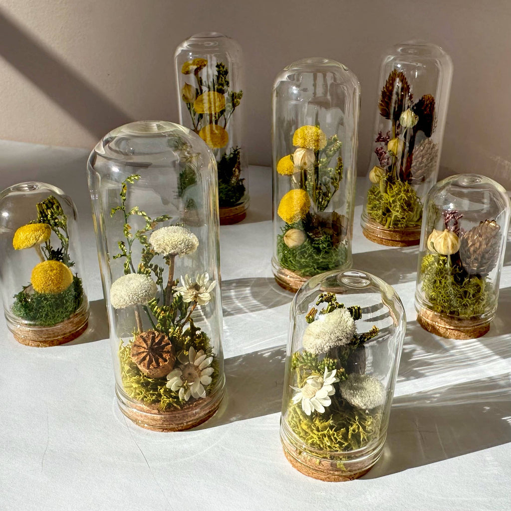 Meadow Mix Mini Glass Cloche Terrarium w. Dried Florals