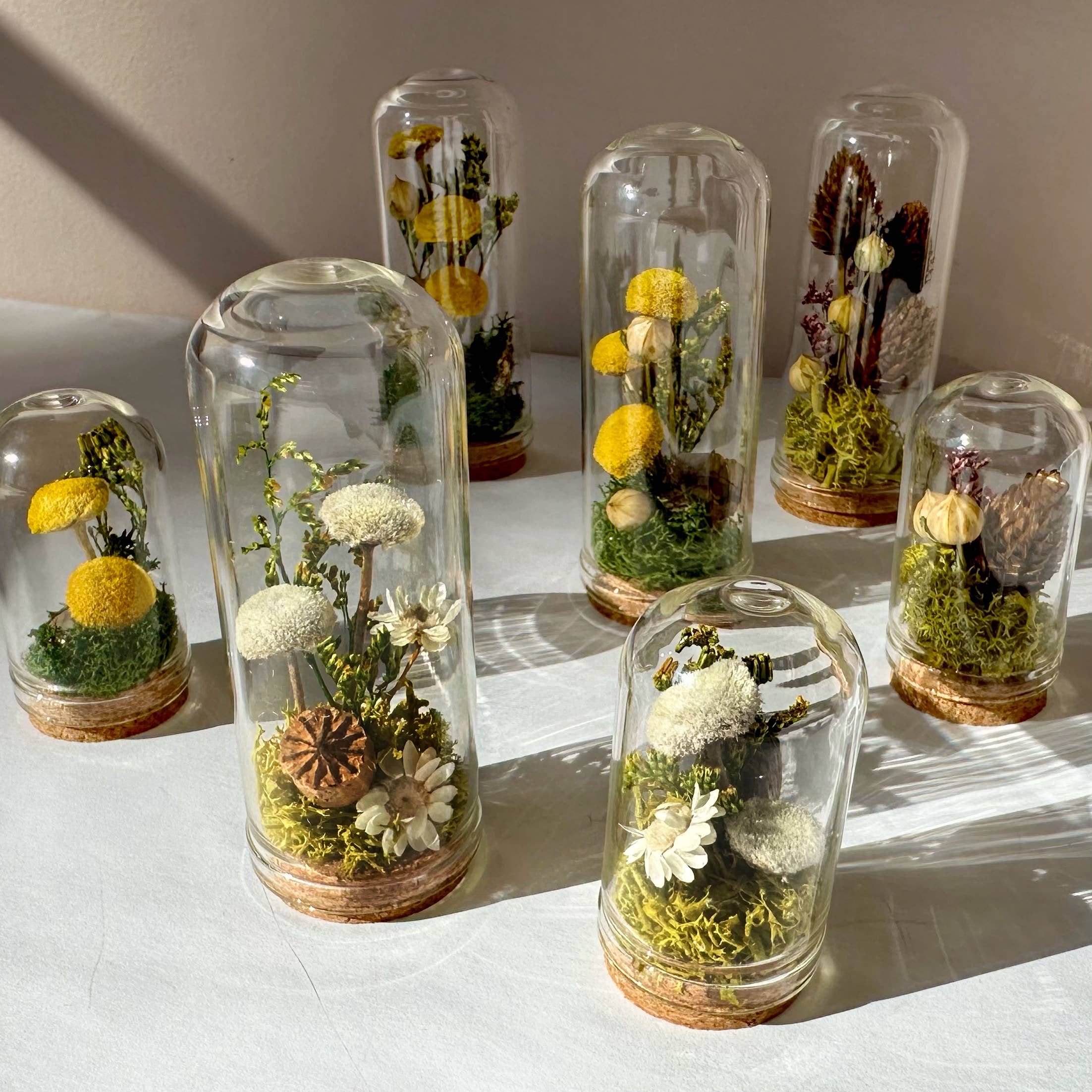 Meadow Mix Mini Glass Cloche Terrarium w. Dried Florals