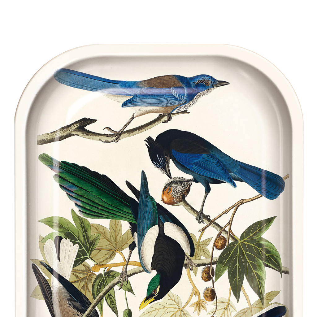 Small Metal Vintage Audubon Magpie and Jaybirds Trinket Tray