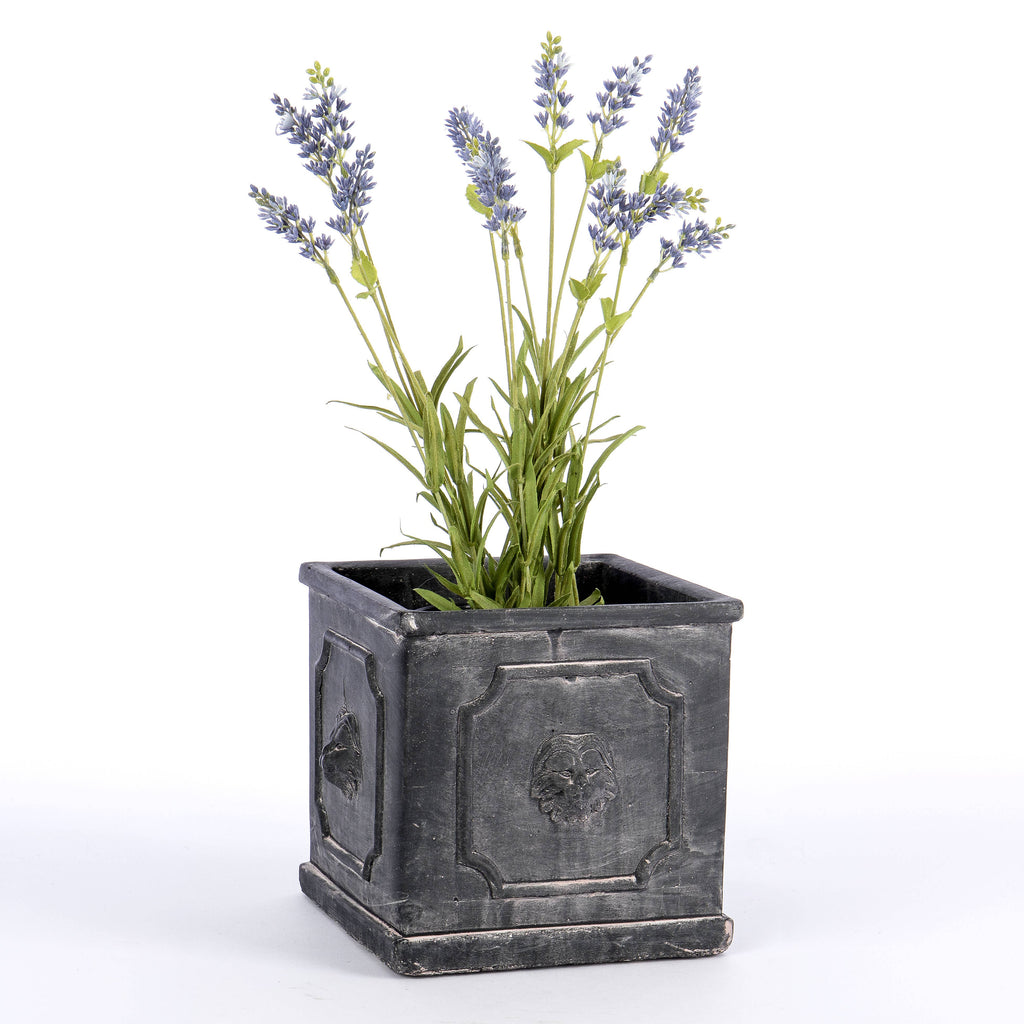 Square Cement Planter