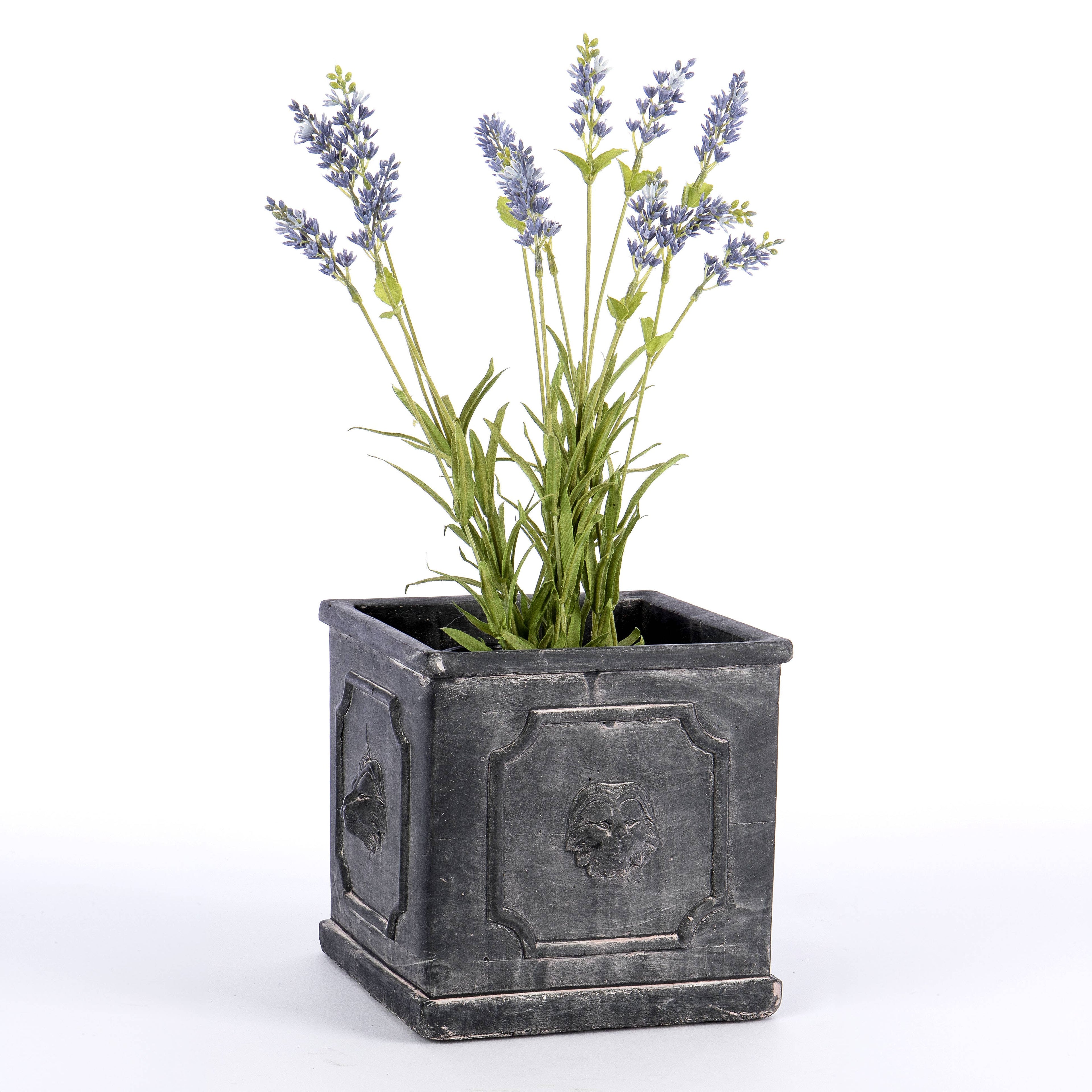 Square Cement Planter