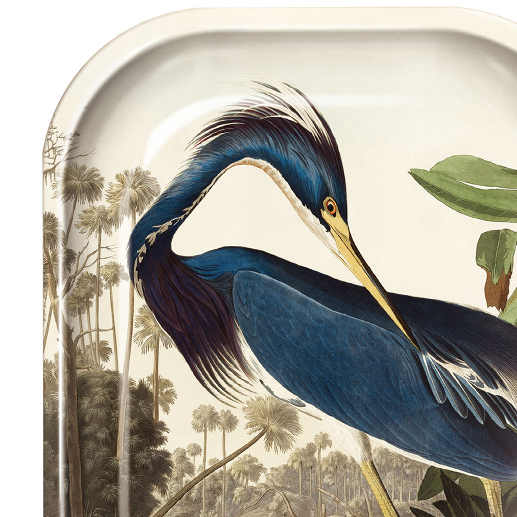 Small Metal Vintage Audubon Louisiana Heron Trinket Tray