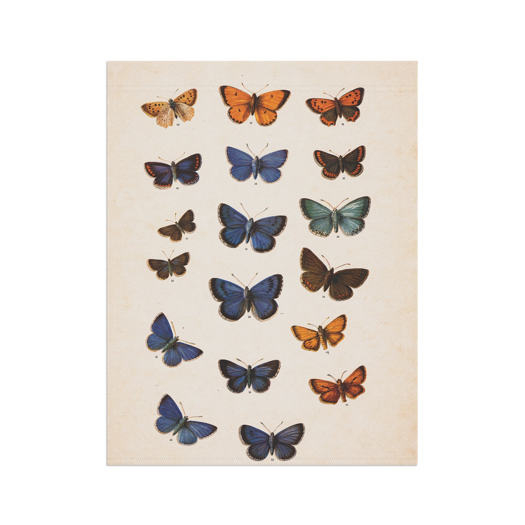 Vintage Butterfly Garden Flag — Floral House Banner