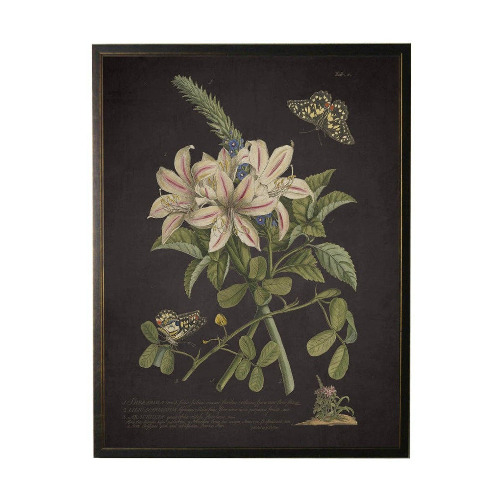Vintage Floral And Butterfly Print On Black Background