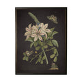 Vintage Floral And Butterfly Print On Black Background