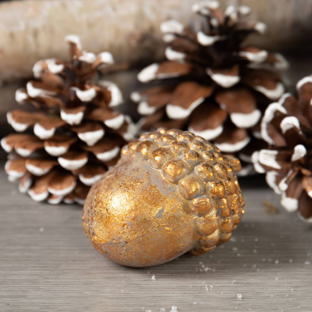 Gold Cement Acorn Fall / Holiday Decor