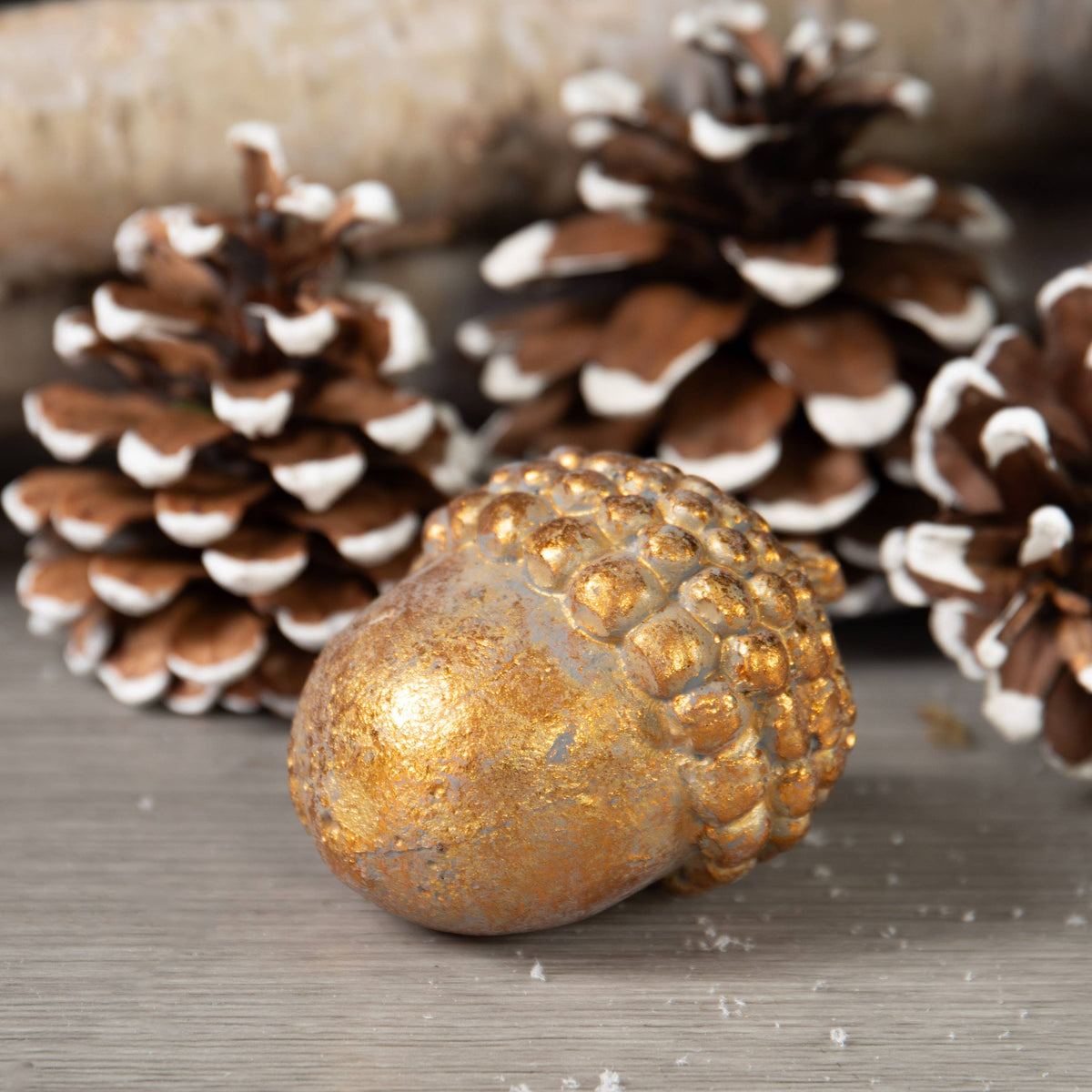 Gold Cement Acorn Fall / Holiday Decor