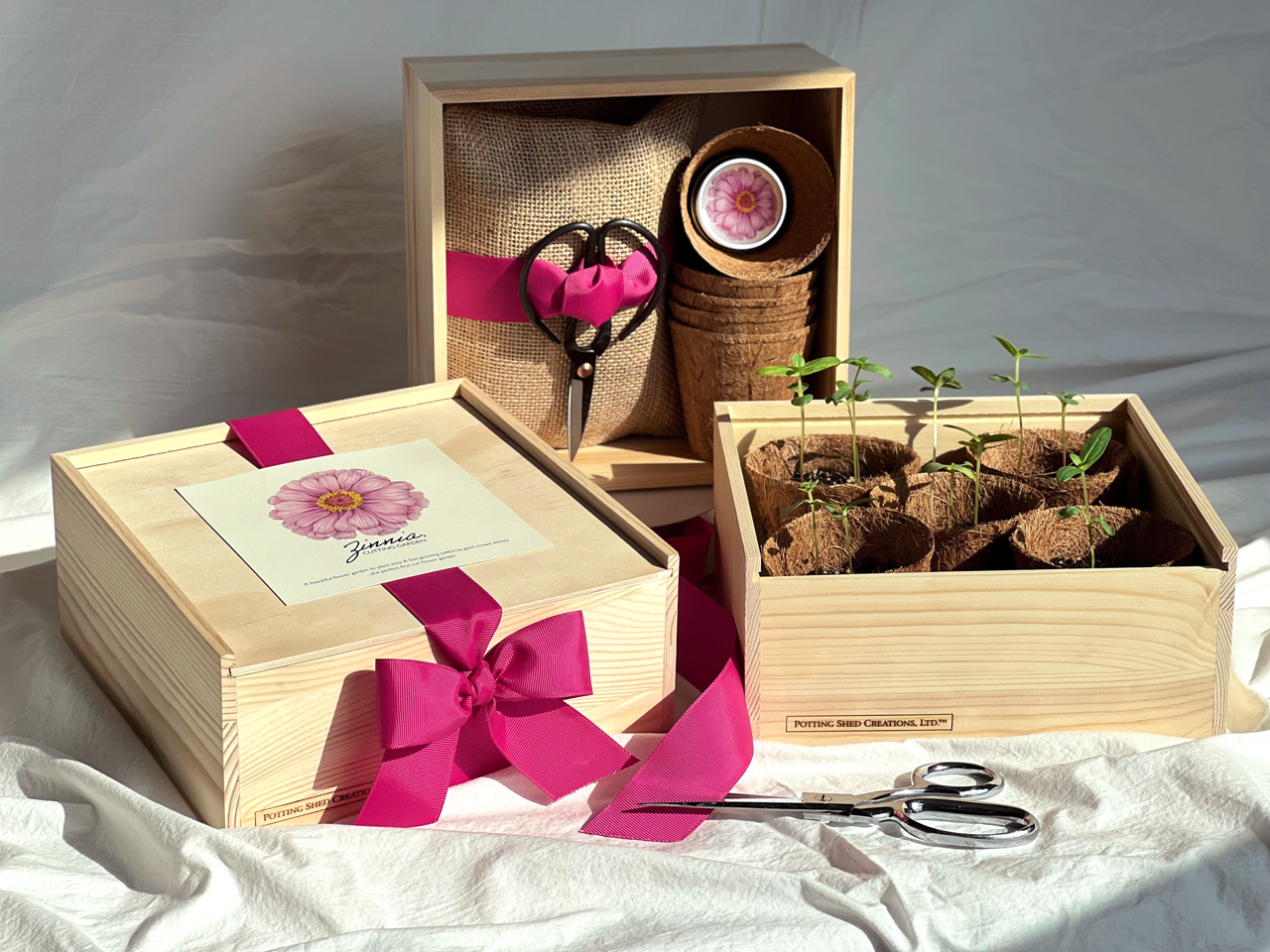 Zinnia Cut Flower Garden Gift Box