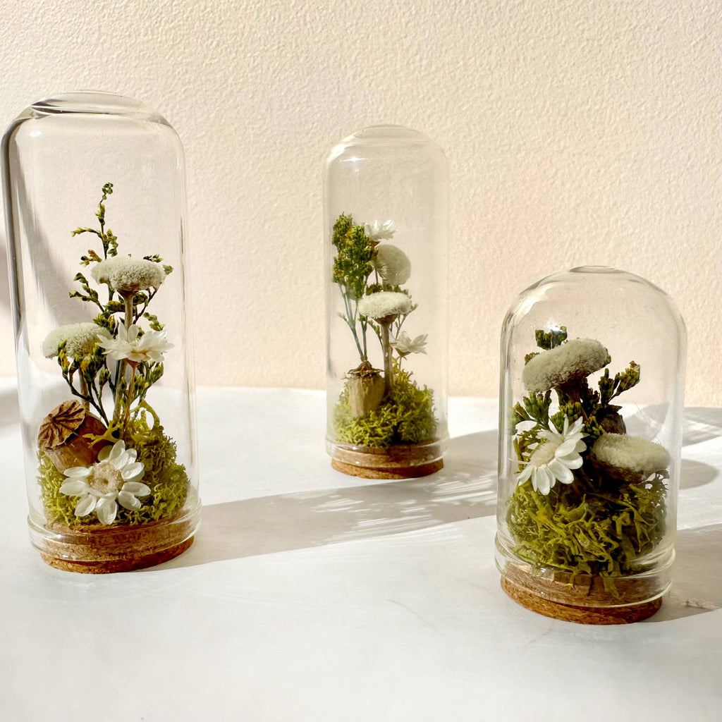 Meadow Mix Mini Glass Cloche Terrarium w. Dried Florals
