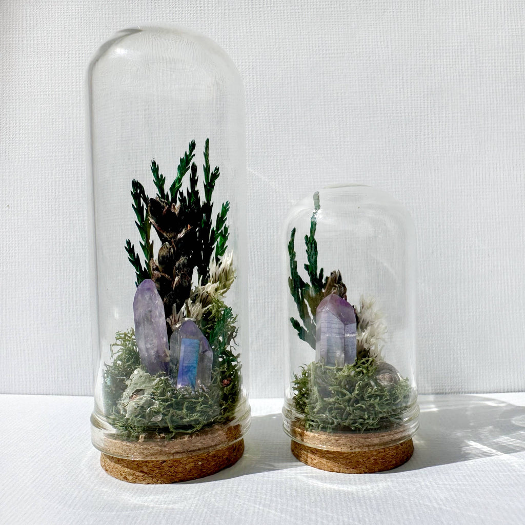 Starlight Crystal Fairy Garden Mini Floral Terrarium Cloche