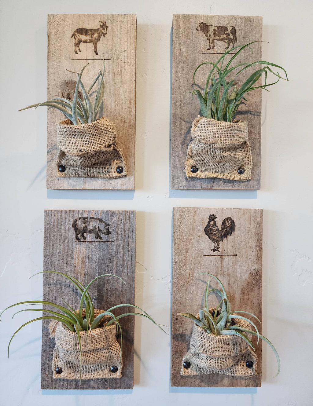 Burlap & Wood Farm Animal Wall Planter (Air Plants Included)