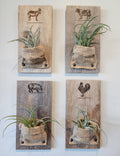 Burlap & Wood Farm Animal Wall Planter (Air Plants Included)
