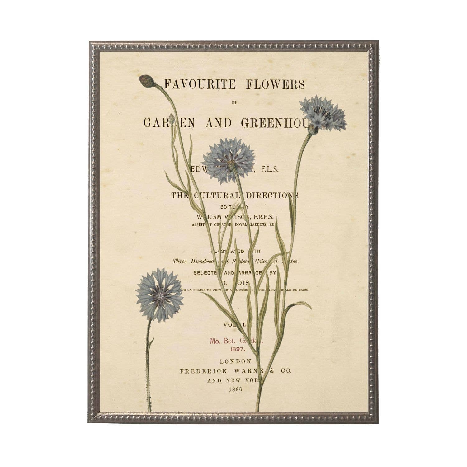 Vintage floral and butterfly print K on title page