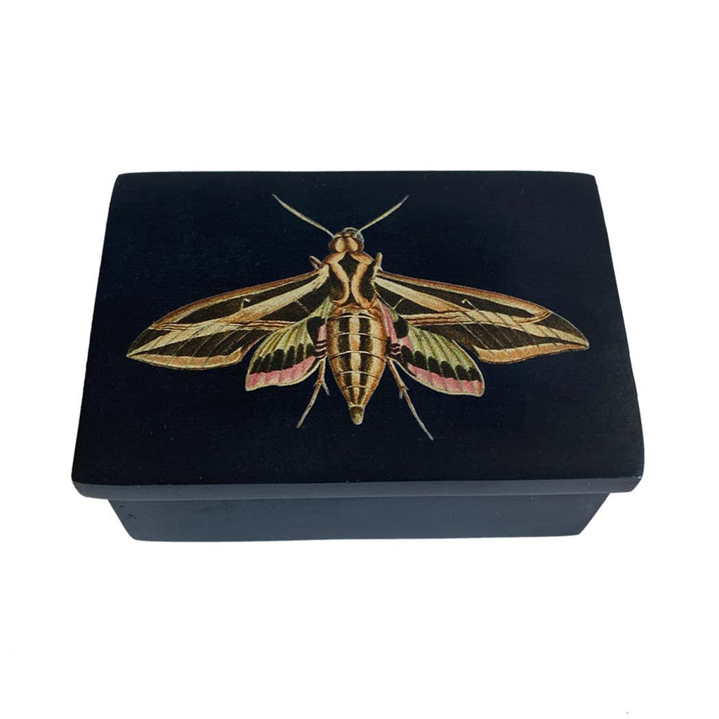 Sphinx Moth Black Soapstone Trinket Jewelry | Storage Box
