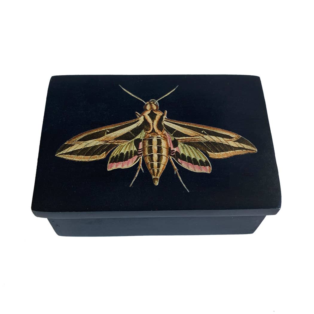 Sphinx Moth Black Soapstone Trinket Jewelry | Storage Box
