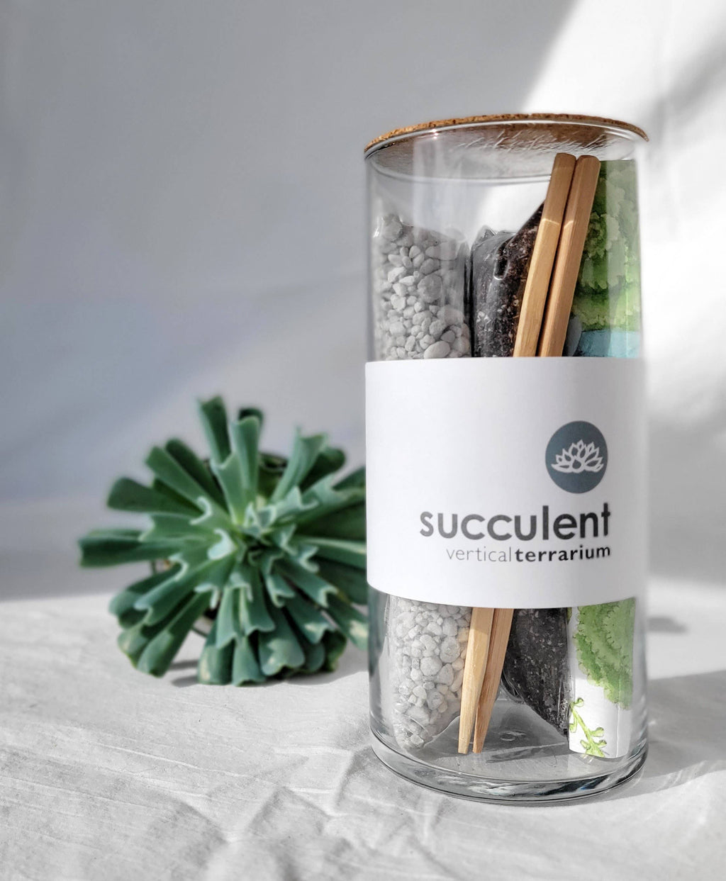 Vertical Succulent Terrarium Kit