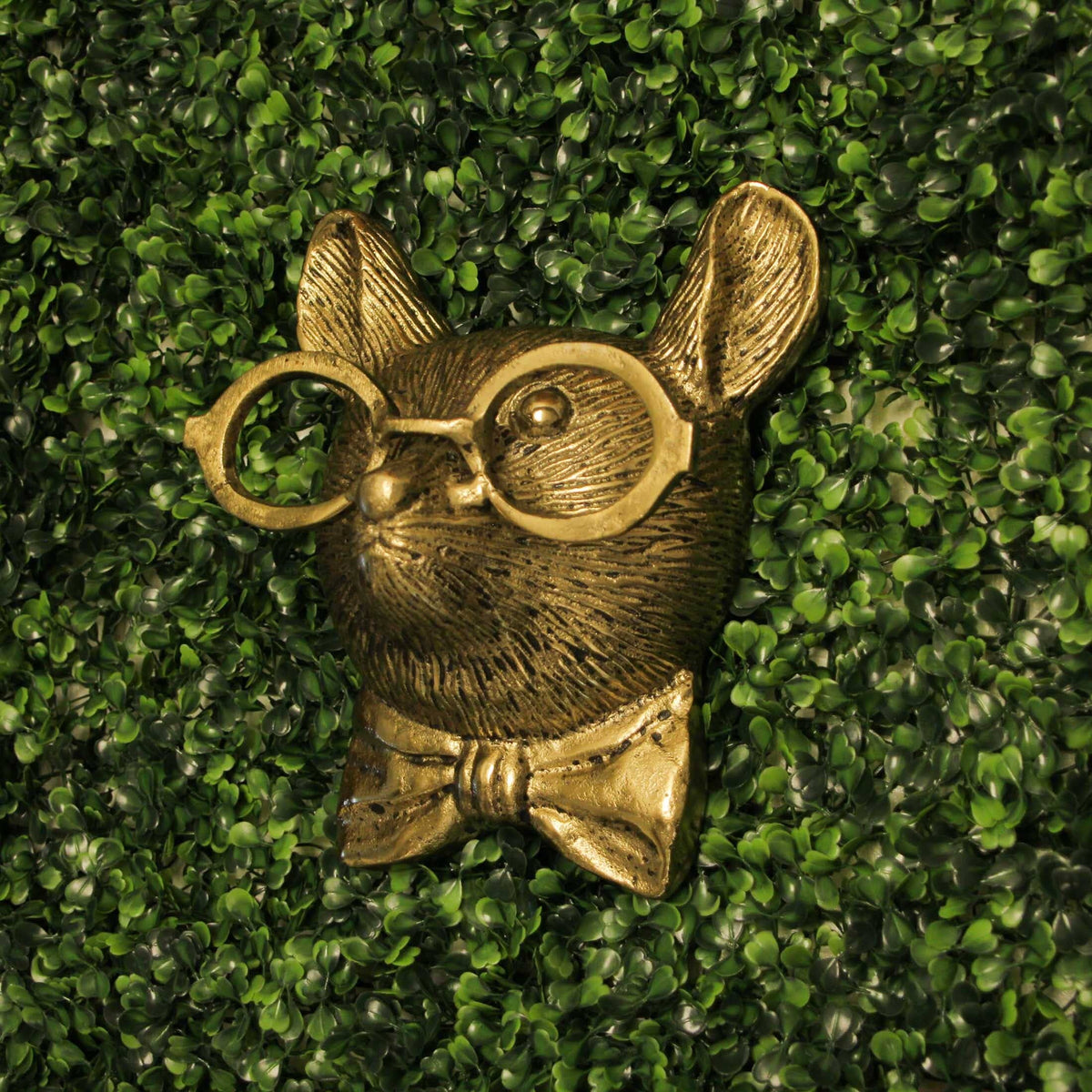 Cast Aluminum Gold Mouse Head Wall Mount with Glasses–8.5"