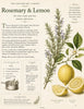 The Garden Journal - Late Summer 2026 · Issue One- Digital Collections