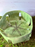 Hell Mountain Fern Fruit Basket