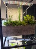 Reclaimed Herb Planter Trio