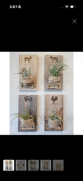 Reclaimed wood airplant planters
