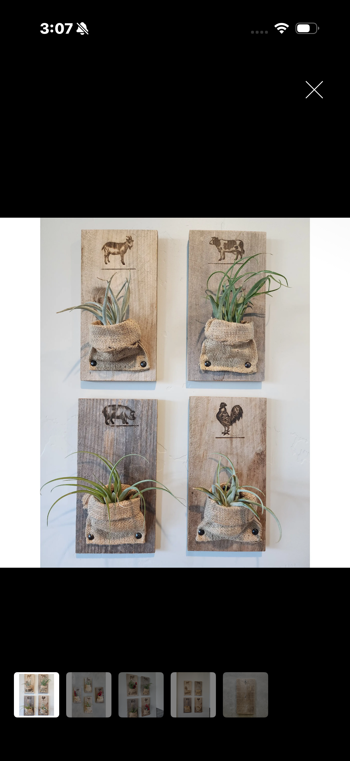Reclaimed wood airplant planters