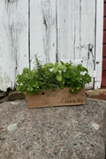 Reclaimed Wood Rustic Herb Planter - Trough