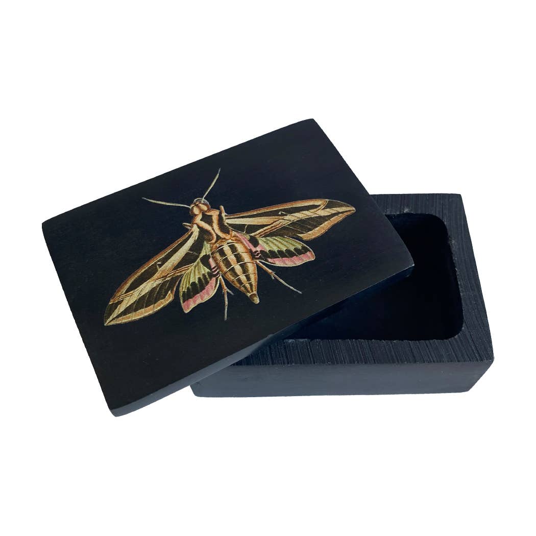 Sphinx Moth Black Soapstone Trinket Jewelry | Storage Box