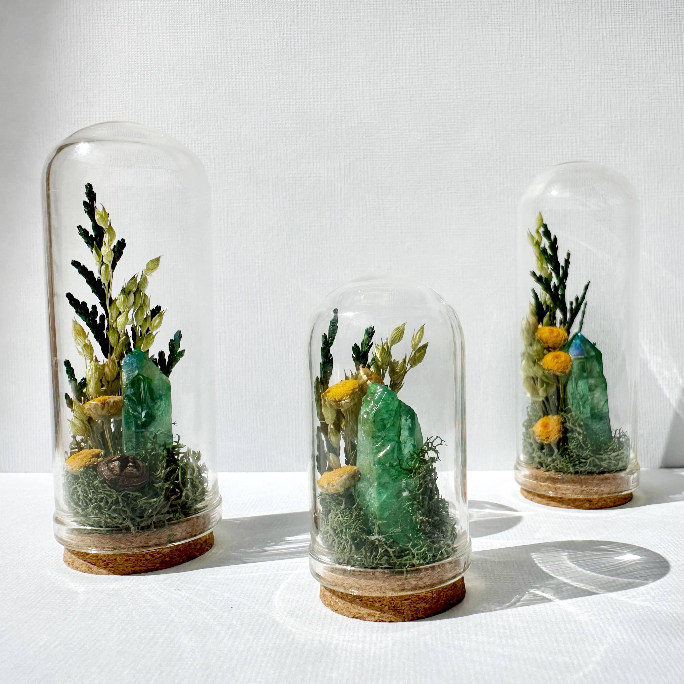 Sunlight Crystal Fair Terrarium Mini Floral Glass Cloche