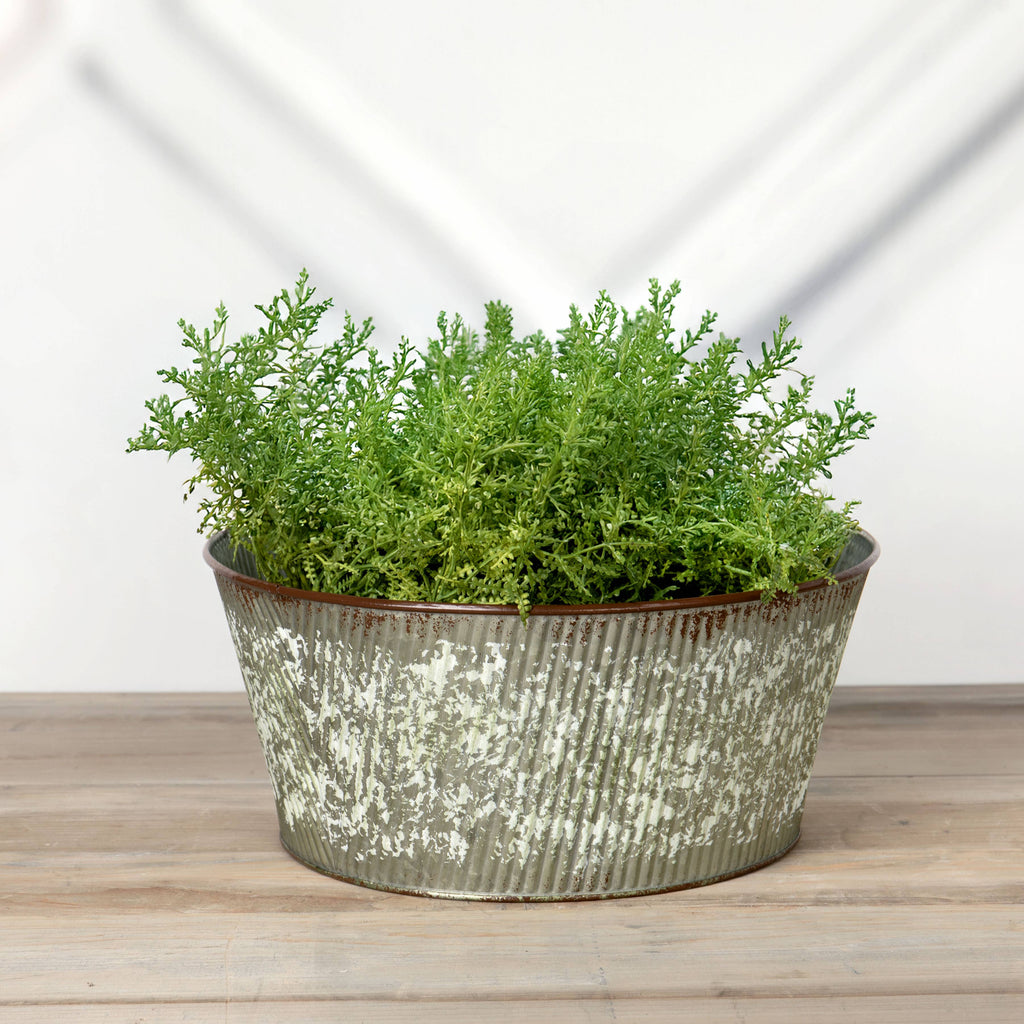 Fluted Tin Bowl Planter w/ PVC Liner