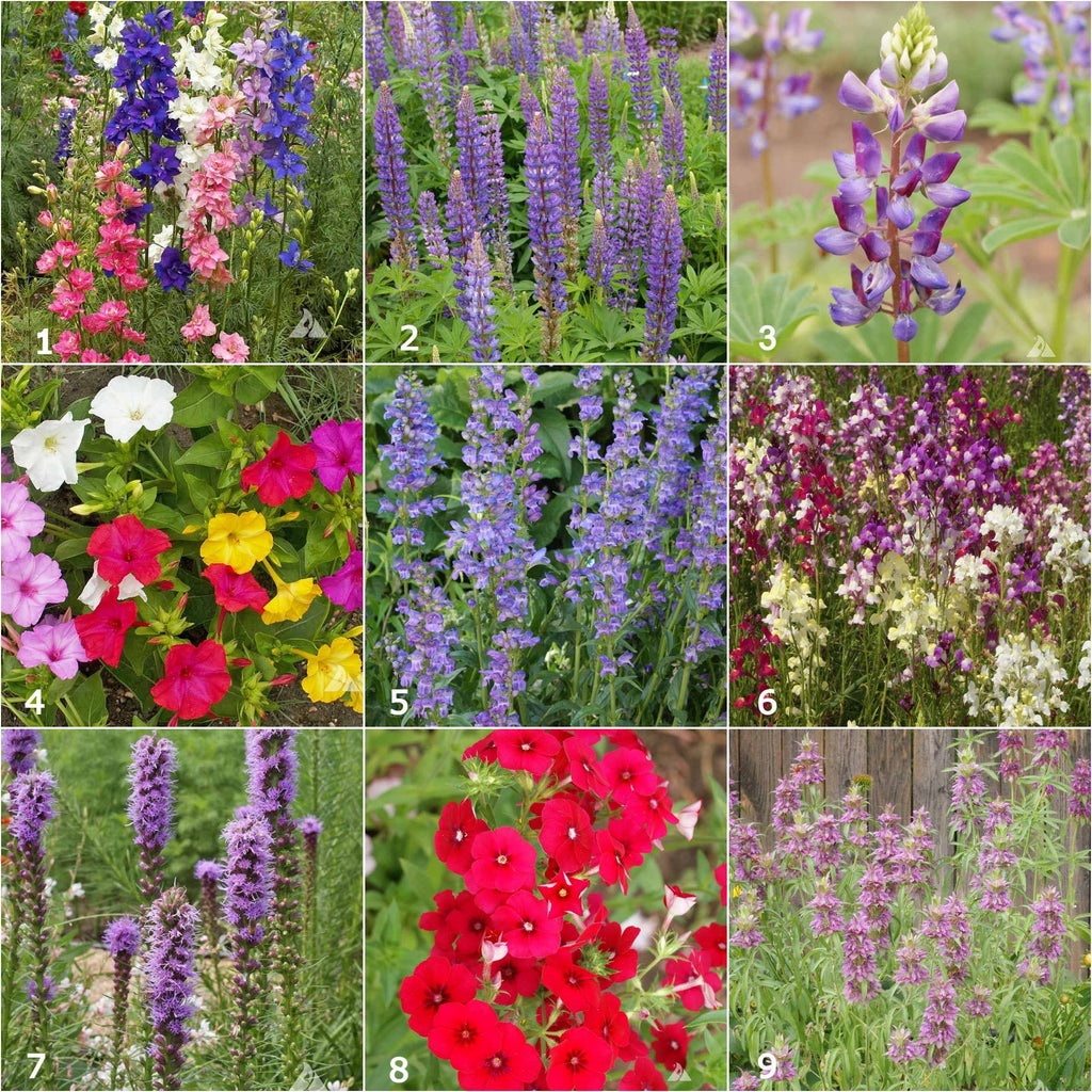 Garden Sprinkles Hummingbird | Best Seller | Spring Garden 