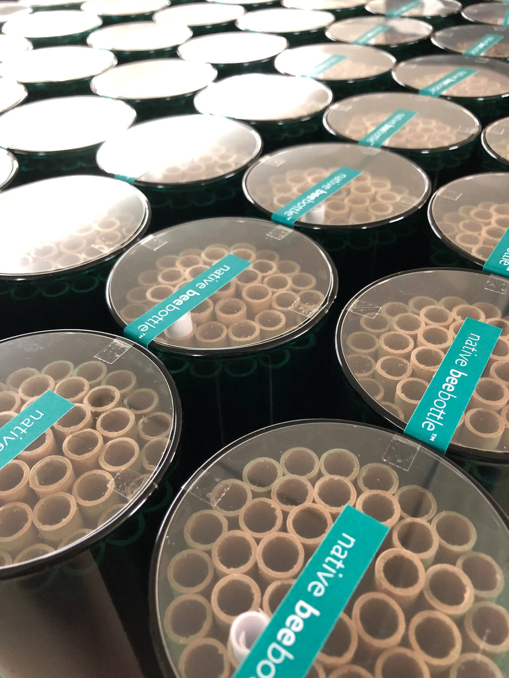 Native Bee House | Habitat Builder to attract pollinators
